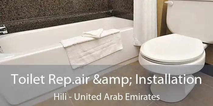 Toilet Rep.air & Installation Hili - United Arab Emirates