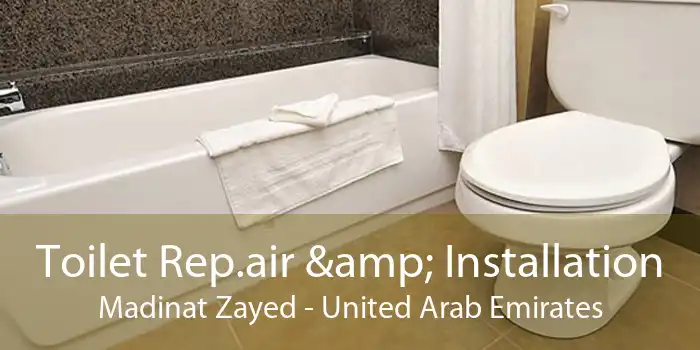 Toilet Rep.air & Installation Madinat Zayed - United Arab Emirates