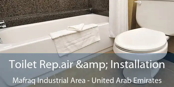 Toilet Rep.air & Installation Mafraq Industrial Area - United Arab Emirates