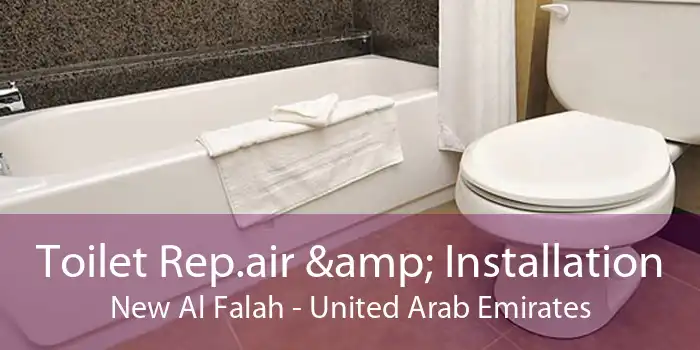 Toilet Rep.air & Installation New Al Falah - United Arab Emirates