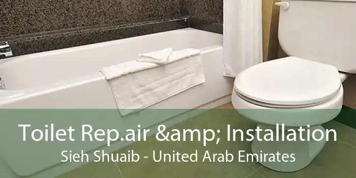Toilet Rep.air & Installation Sieh Shuaib - United Arab Emirates
