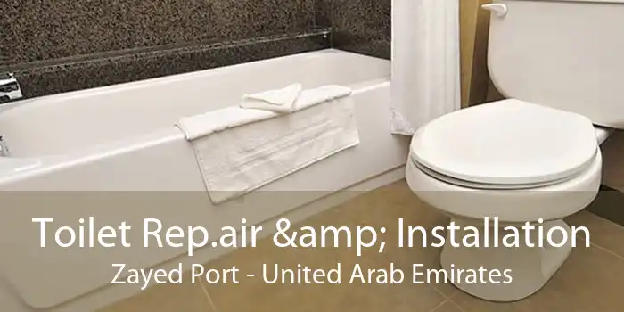 Toilet Rep.air & Installation Zayed Port - United Arab Emirates
