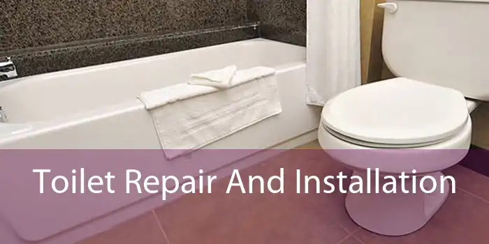 Toilet Repair And Installation 