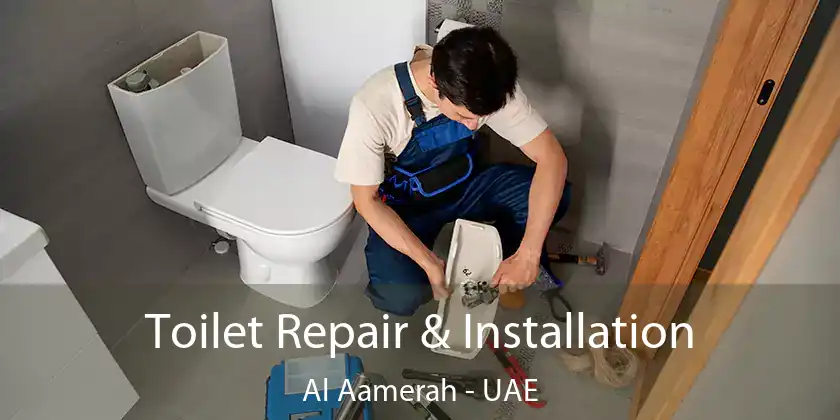 Toilet Repair & Installation Al Aamerah - UAE