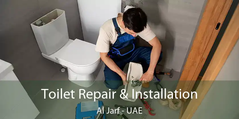  Toilet Repair & Installation Al Jarf - UAE