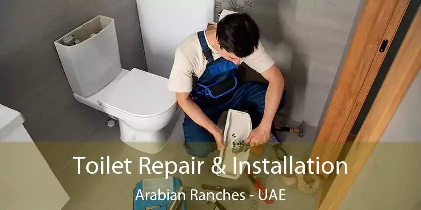  Toilet Repair & Installation Arabian Ranches - UAE