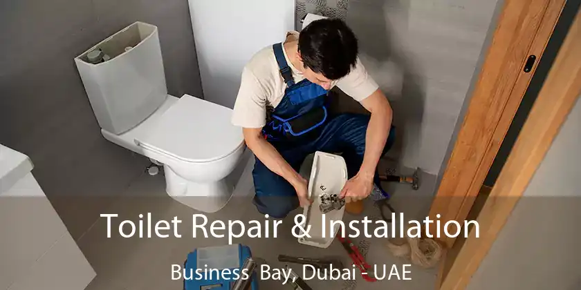  Toilet Repair & Installation Business Bay, Dubai - UAE