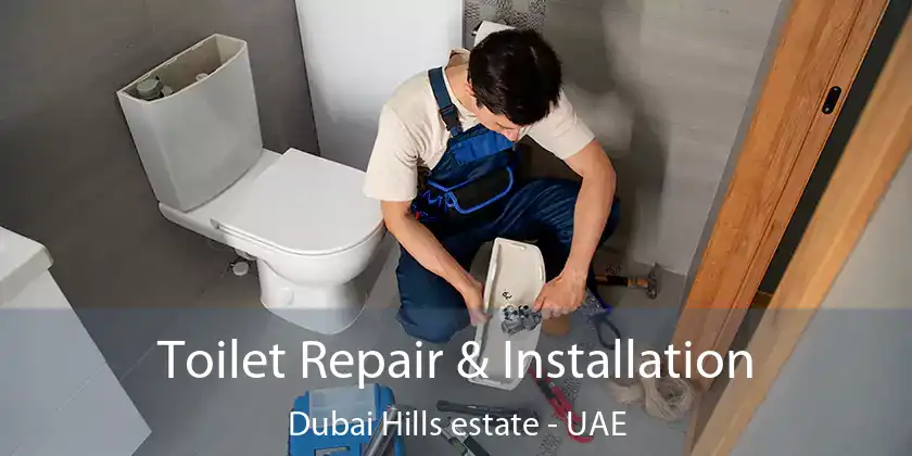  Toilet Repair & Installation Dubai Hills estate - UAE