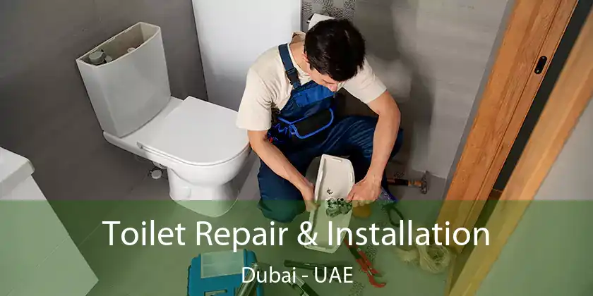  Toilet Repair & Installation Dubai - UAE