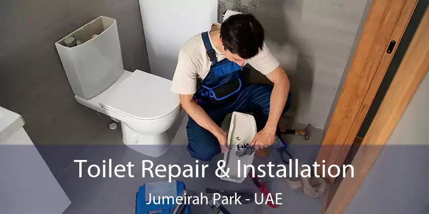 Toilet Repair & Installation Jumeirah Park - UAE