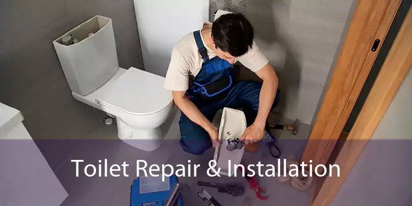 Toilet Repair & Installation 
