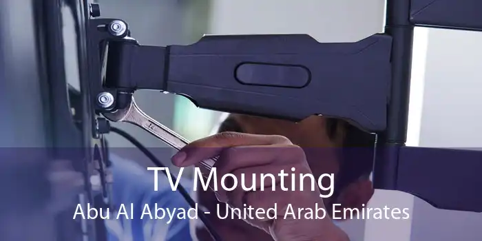 TV Mounting Abu Al Abyad - United Arab Emirates