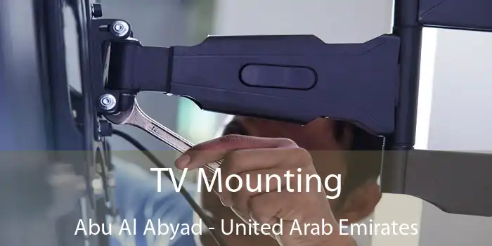 TV Mounting Abu Al Abyad - United Arab Emirates