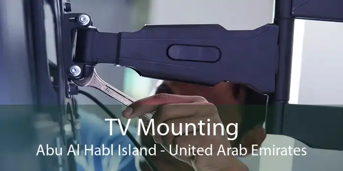 TV Mounting Abu Al Habl Island - United Arab Emirates