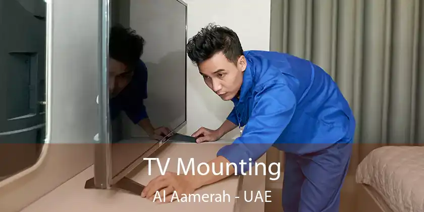  TV Mounting Al Aamerah - UAE