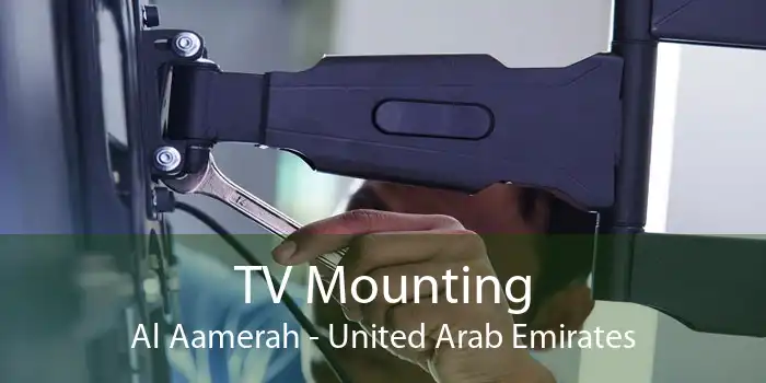 TV Mounting Al Aamerah - United Arab Emirates
