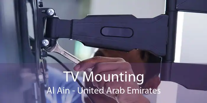 TV Mounting Al Ain - United Arab Emirates
