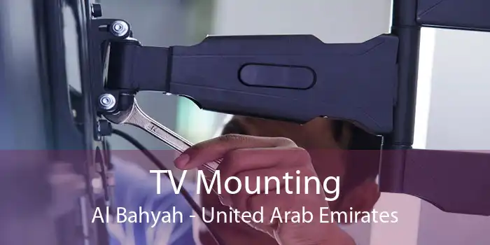 TV Mounting Al Bahyah - United Arab Emirates