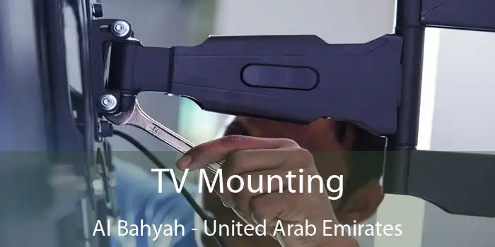 TV Mounting Al Bahyah - United Arab Emirates