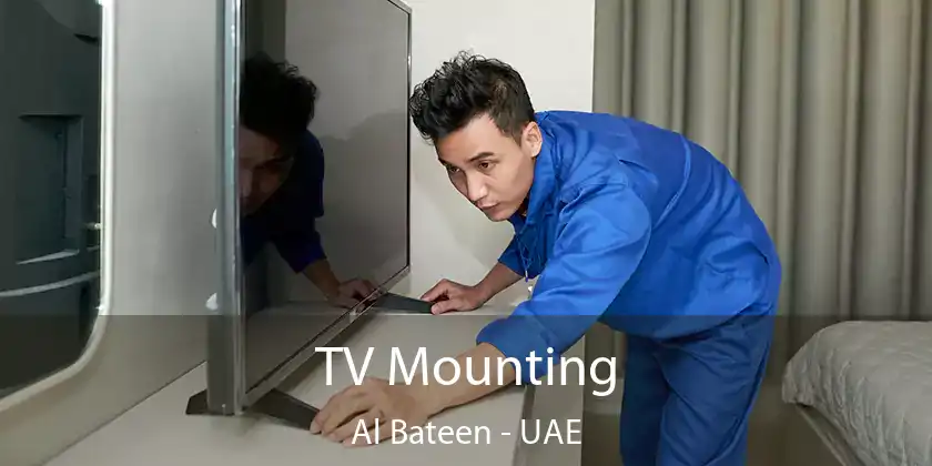  TV Mounting Al Bateen - UAE