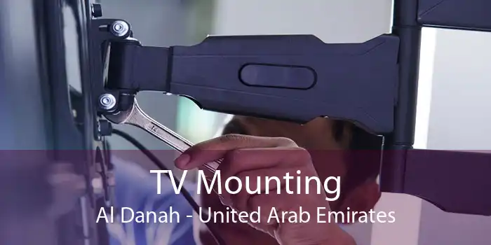 TV Mounting Al Danah - United Arab Emirates