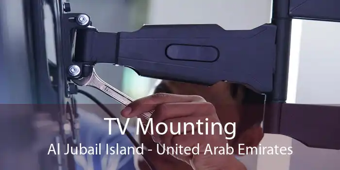 TV Mounting Al Jubail Island - United Arab Emirates