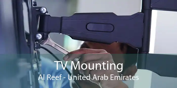 TV Mounting Al Reef - United Arab Emirates