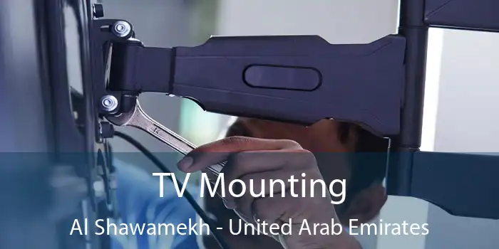 TV Mounting Al Shawamekh - United Arab Emirates