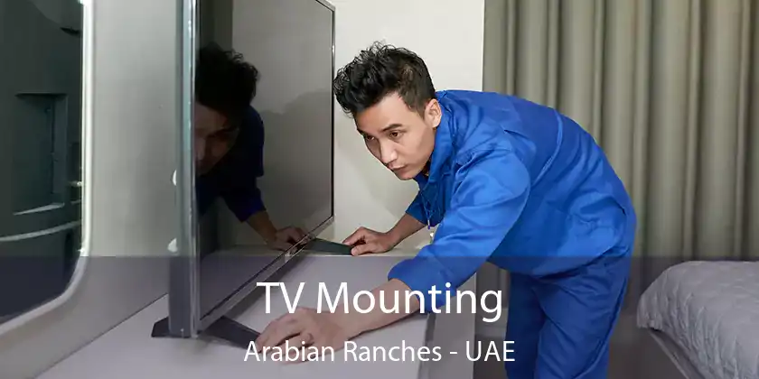  TV Mounting Arabian Ranches - UAE