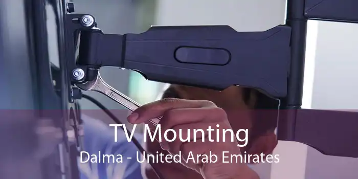 TV Mounting Dalma - United Arab Emirates