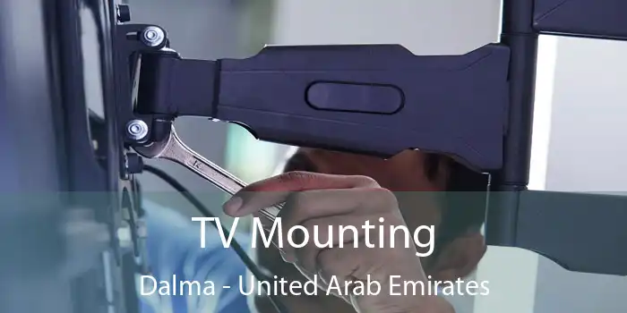 TV Mounting Dalma - United Arab Emirates