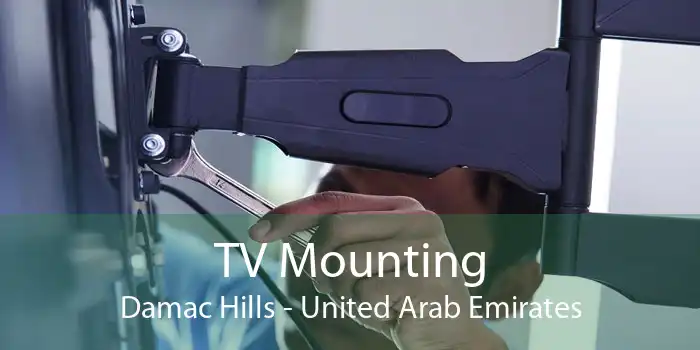 TV Mounting Damac Hills - United Arab Emirates