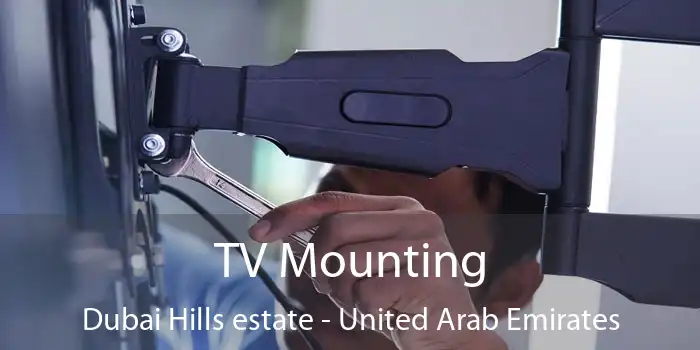 TV Mounting Dubai Hills estate - United Arab Emirates