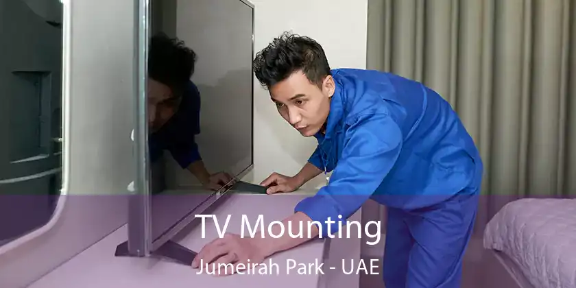  TV Mounting Jumeirah Park - UAE