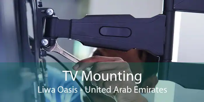 TV Mounting Liwa Oasis - United Arab Emirates