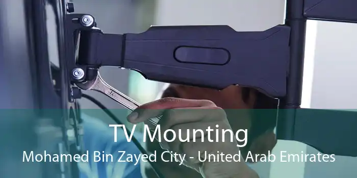 TV Mounting Mohamed Bin Zayed City - United Arab Emirates