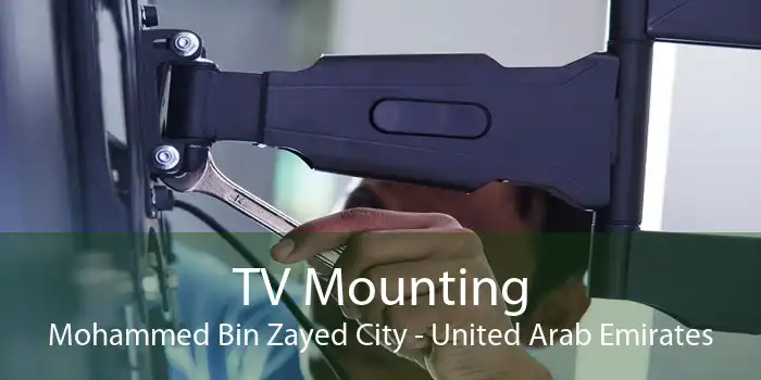 TV Mounting Mohammed Bin Zayed City - United Arab Emirates