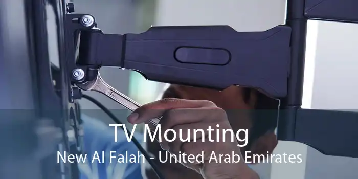 TV Mounting New Al Falah - United Arab Emirates