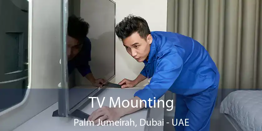 TV Mounting Palm Jumeirah, Dubai - UAE