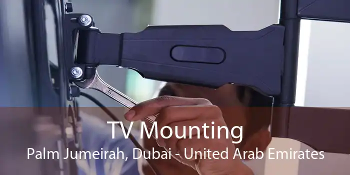 TV Mounting Palm Jumeirah, Dubai - United Arab Emirates