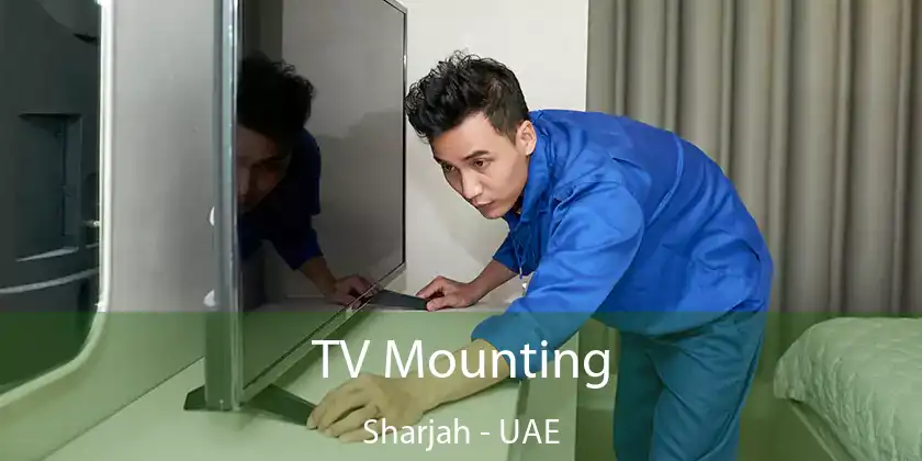  TV Mounting Sharjah - UAE