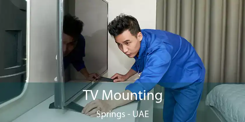  TV Mounting Springs - UAE
