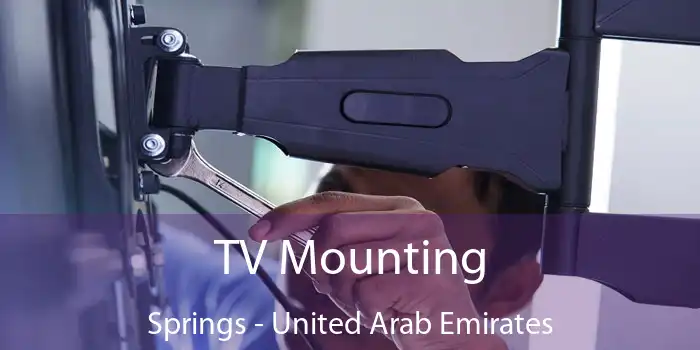 TV Mounting Springs - United Arab Emirates