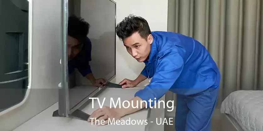  TV Mounting The Meadows - UAE