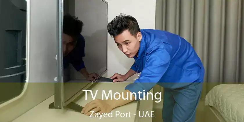  TV Mounting Zayed Port - UAE