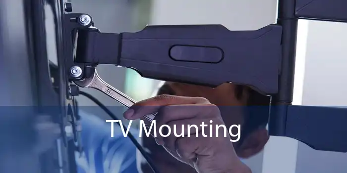 TV Mounting 