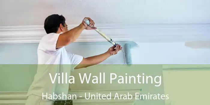 Villa Wall Painting Habshan - United Arab Emirates