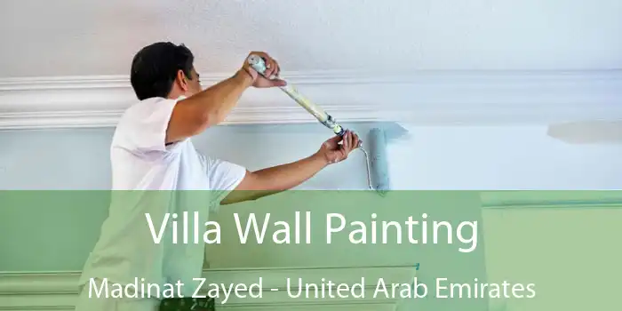 Villa Wall Painting Madinat Zayed - United Arab Emirates