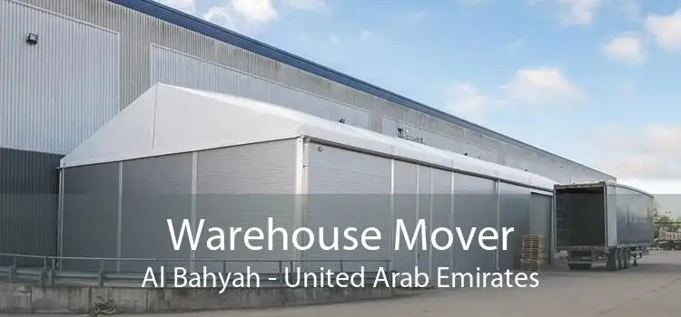 Warehouse Mover Al Bahyah - United Arab Emirates