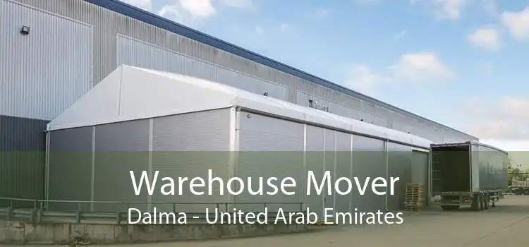 Warehouse Mover Dalma - United Arab Emirates